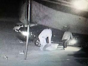 老板吃瓜套路大全视频,视频教你轻松识破职场“瓜田”