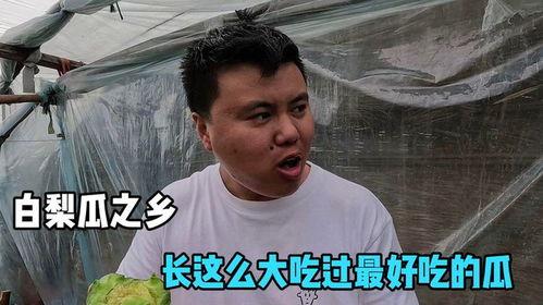 雕哥带吃瓜,揭秘娱乐圈幕后故事