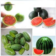 热门吃瓜头像,揭秘热门吃瓜头像背后的潮流密码