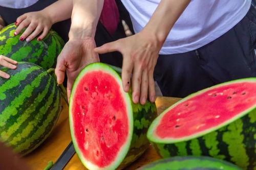 今日吃瓜 大全,盘点娱乐圈最新热点事件