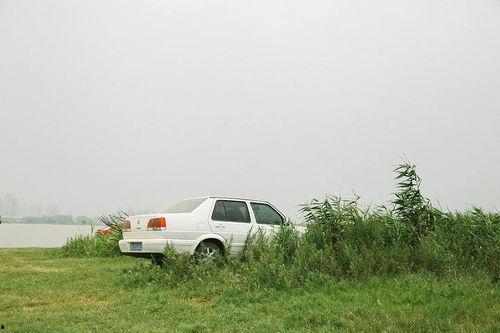 小狗吃瓜动态,小狗吃瓜萌态十足