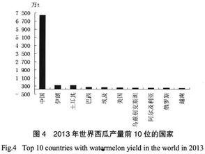 吃瓜大国最新数据,最新数据揭示国民饮食趋势与偏好