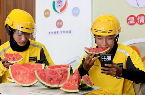 带你吃瓜送外卖之路,探索现代配送行业的创新之路