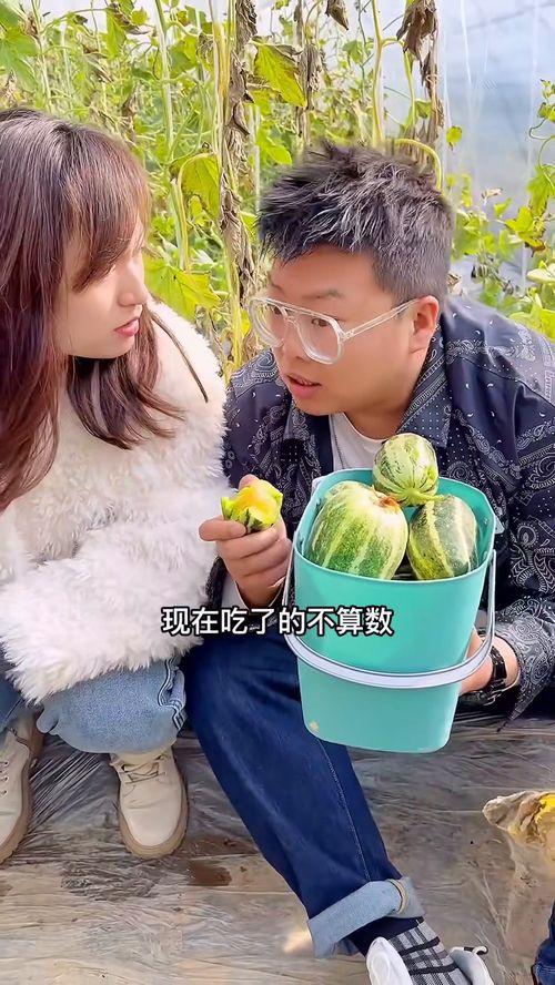 吃瓜离石,揭秘离石美食背后的故事