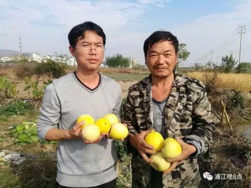 衡水吃瓜群众,揭秘当地生活百态