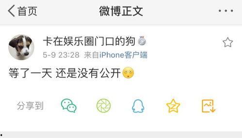 吃瓜爆料本人,吃瓜爆料背后的真相与内幕