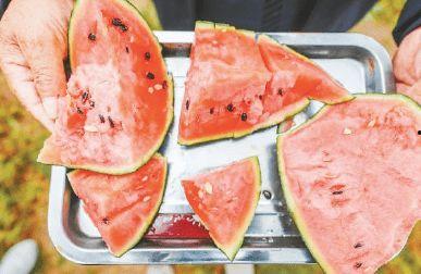 云霄圣城集团吃瓜,揭秘吃瓜背后的商业风云