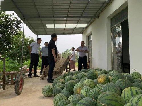 云霄圣城集团吃瓜,揭秘吃瓜背后的商业风云