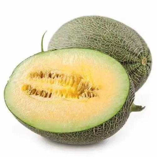 吃瓜蜜瓜头像,蜜意盎然——揭秘吃瓜蜜瓜头像背后的故事