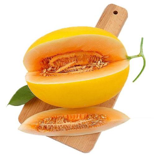 吃瓜蜜瓜头像,蜜意盎然——揭秘吃瓜蜜瓜头像背后的故事