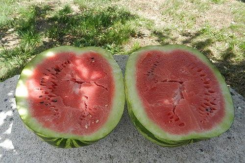 梦见在菜园里折瓜吃瓜,菜园折瓜，瓜果飘香中的神秘体验