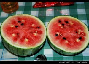 吃瓜看奥运,吃瓜群众欢乐多