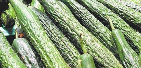 潮职吃瓜,揭秘校园热点事件背后的真相