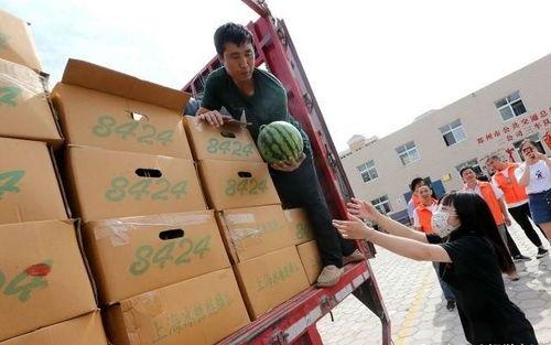 免费吃瓜中转站,揭秘网络娱乐新潮流