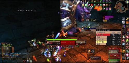 魔兽吃瓜dps,吃瓜达人揭秘DPS成长之路