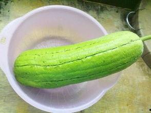 水瓜能晒干吃吗怎么吃,水瓜晒干后的美味食用指南