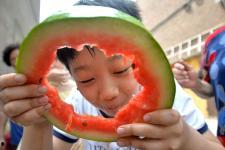 河北吃瓜邯郸,吃瓜群众的热议焦点