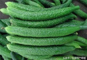 河北吃瓜邯郸,吃瓜群众的热议焦点