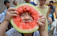 河北吃瓜邯郸,吃瓜群众的热议焦点