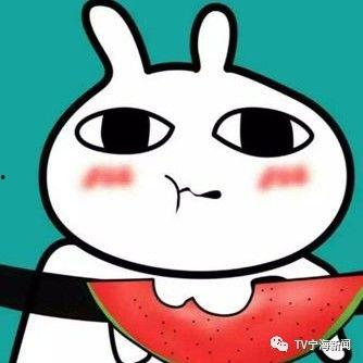 减肥的吃瓜群众,轻松瘦身，健康生活