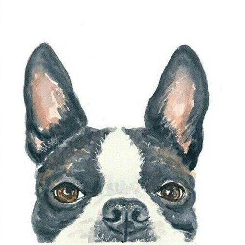 狗头和吃瓜情侣头像,趣味横生的表情包新宠