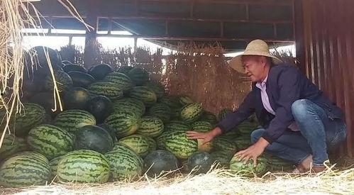 吃瓜突然抬头,揭秘娱乐圈幕后真相