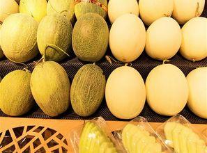 梦见吃西瓜哈密瓜,揭秘西瓜与哈密瓜的奇幻之旅