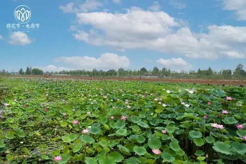 曹县水城吃瓜,夏日炎炎，吃瓜群众欢乐多