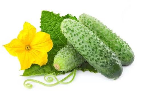 苏安安吃瓜系统,揭秘娱乐圈幕后真相