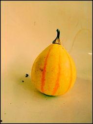 新沂吃瓜女主,揭秘网络热议背后的真相