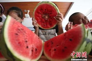 啃秋吃瓜图片,夏日炎炎里的清凉时光