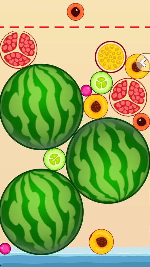 有吃瓜的游戏,揭秘虚拟世界中的瓜田奇遇记