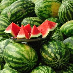 夏天吃瓜减肥头像,吃瓜减肥，轻松打造健康瘦身头像