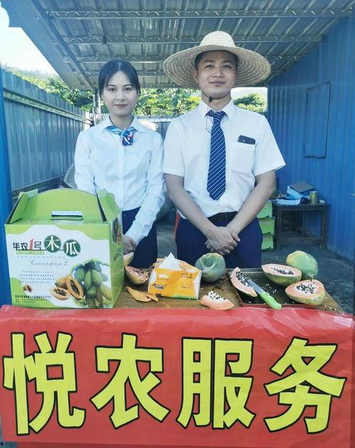 吃瓜事件户外直播,揭秘吃瓜事件背后的真相与热议