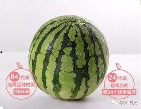 背诗吃瓜,一场别开生面的背诗盛宴