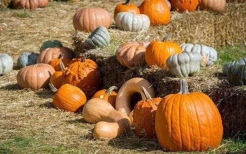 吃瓜碍事吗,围观事件，还是影响生活？