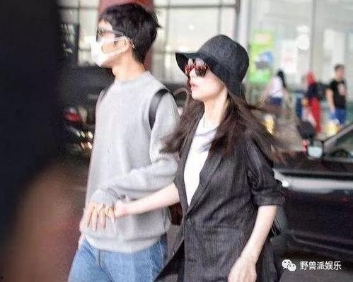 吃瓜井柏然,娱乐圈的“瓜田”风云再起