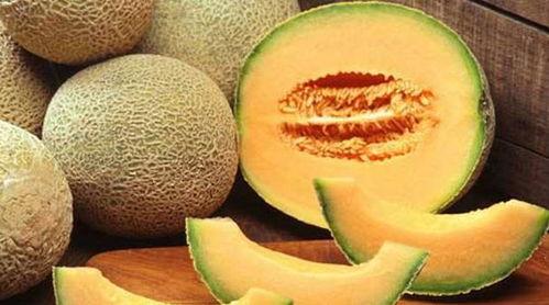 日韩人吃哈密瓜,哈密瓜的跨界之旅