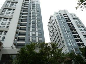 中央华庭吃瓜,揭秘豪宅里的吃瓜风云