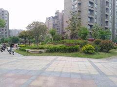 中央华庭吃瓜,揭秘豪宅里的吃瓜风云