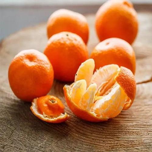 你们吃苹果我吃瓜,共享美味，品味生活