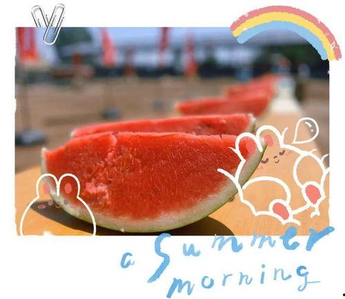 瑞丽吃瓜现场视频,揭秘娱乐圈幕后真相