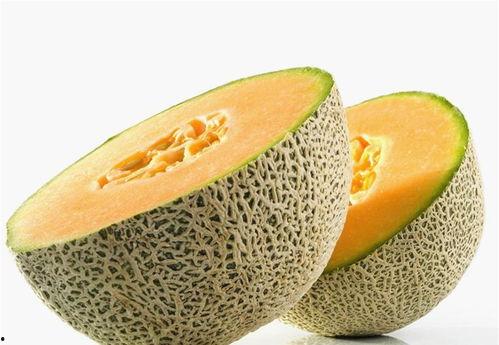 婴儿可以吃哈密瓜,哈密瓜的甜蜜营养之旅