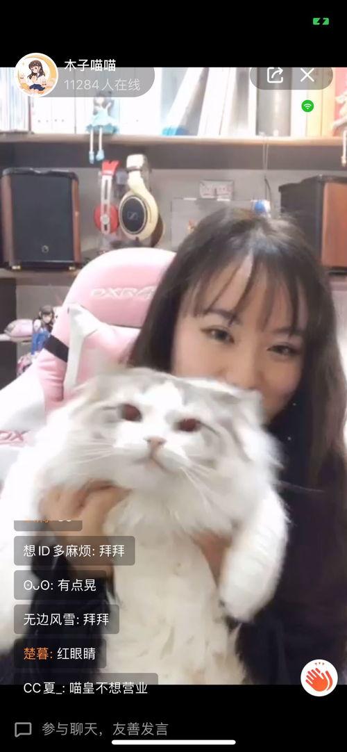 懒猫儿吃瓜直播