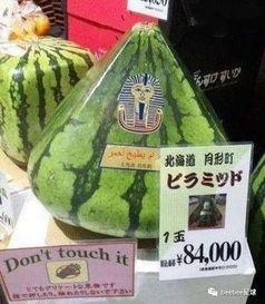 中国吃瓜群众态度