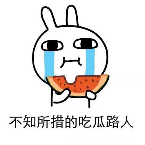 吃瓜小老板,揭秘瓜界风云人物