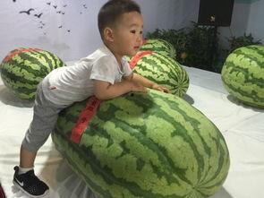 芜湖最新吃瓜事件