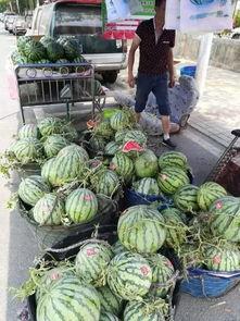 芜湖最新吃瓜事件