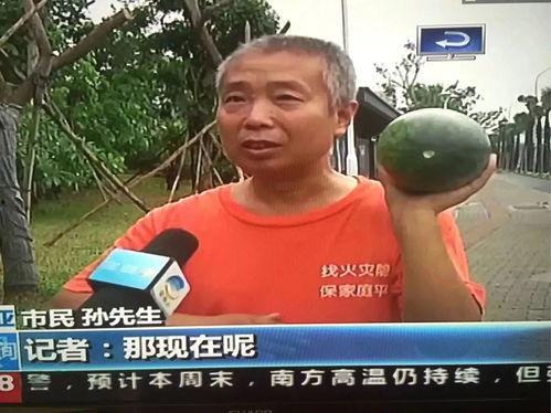 吃瓜群众竟是主角,主角的意外崛起之路