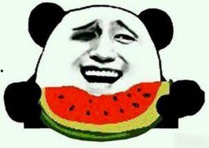 吃瓜群众求名,吃瓜群众眼中的明星幕后故事